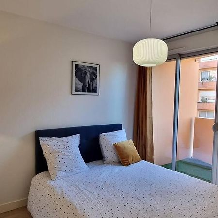 T3 Deluxe'S Avec Terrasse Apartman Toulouse Kültér fotó